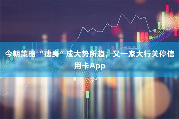 今朝策略 “瘦身”成大势所趋，又一家大行关停信用卡App