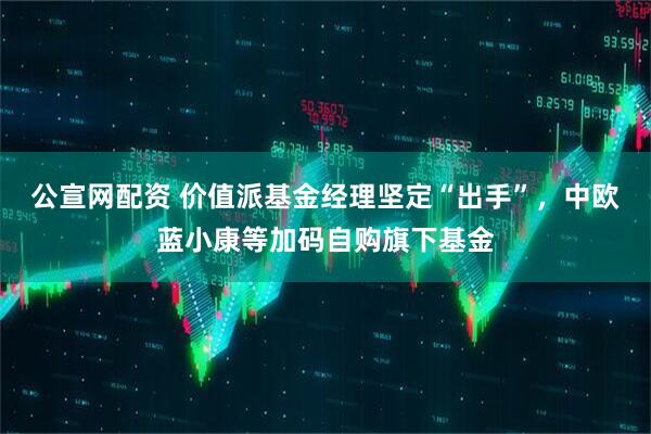公宣网配资 价值派基金经理坚定“出手”，中欧蓝小康等加码自购旗下基金